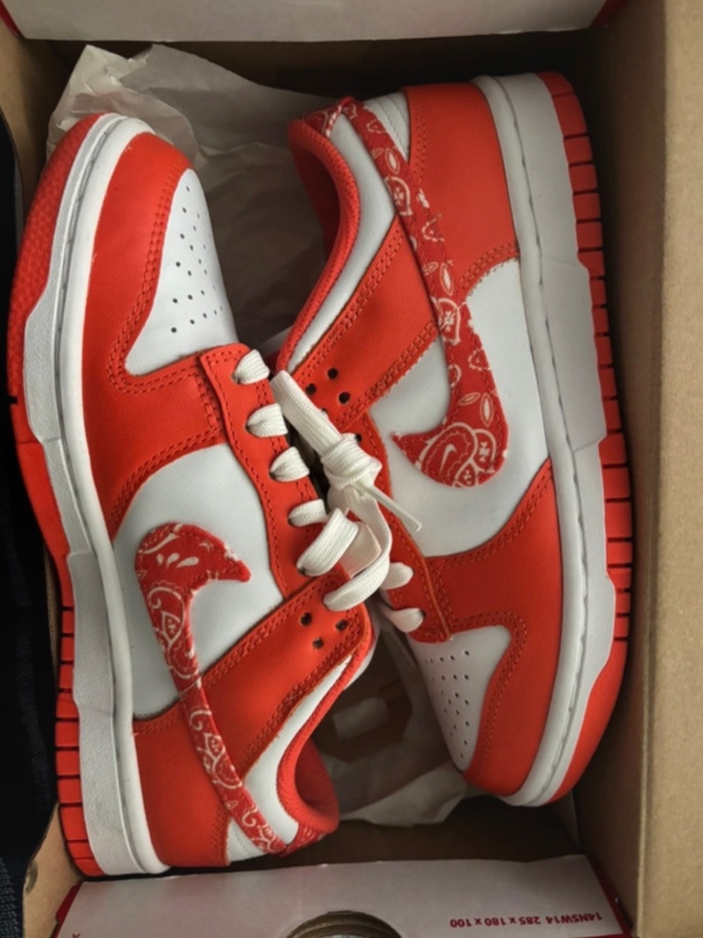 Women’s Nike Dunks